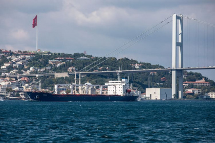 Финансовая логистика спутала турецким линиям все планы